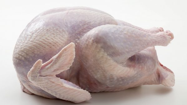 Full Turkey